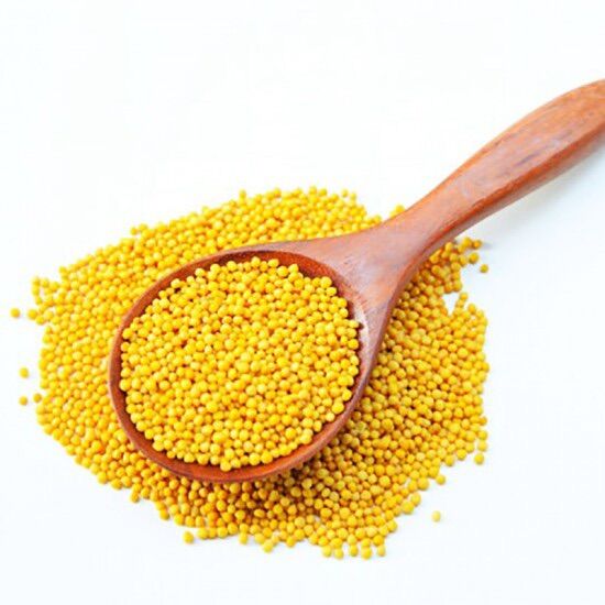 Mustard Yellow - Hạt mù tạc vàng 500g