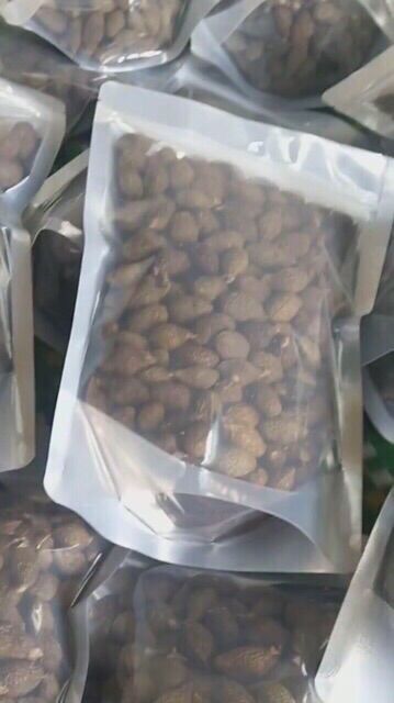 500gram hạt ươi bay rừng Kon Tum