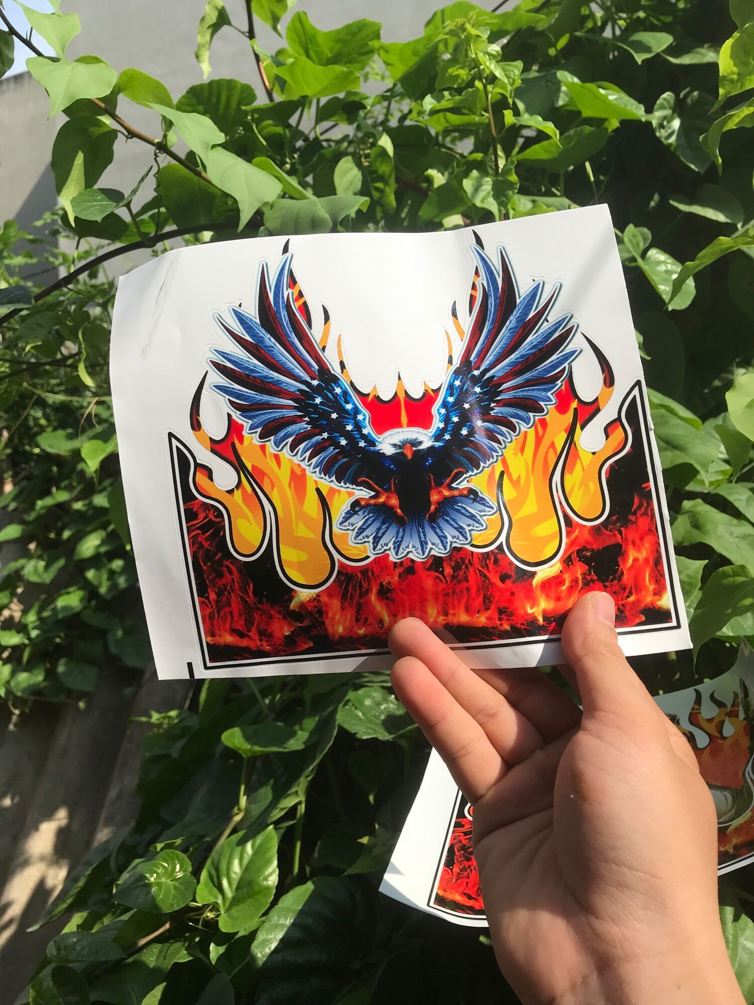 Tem decal đại bàng lửa dán trang trí xe cực đẹp