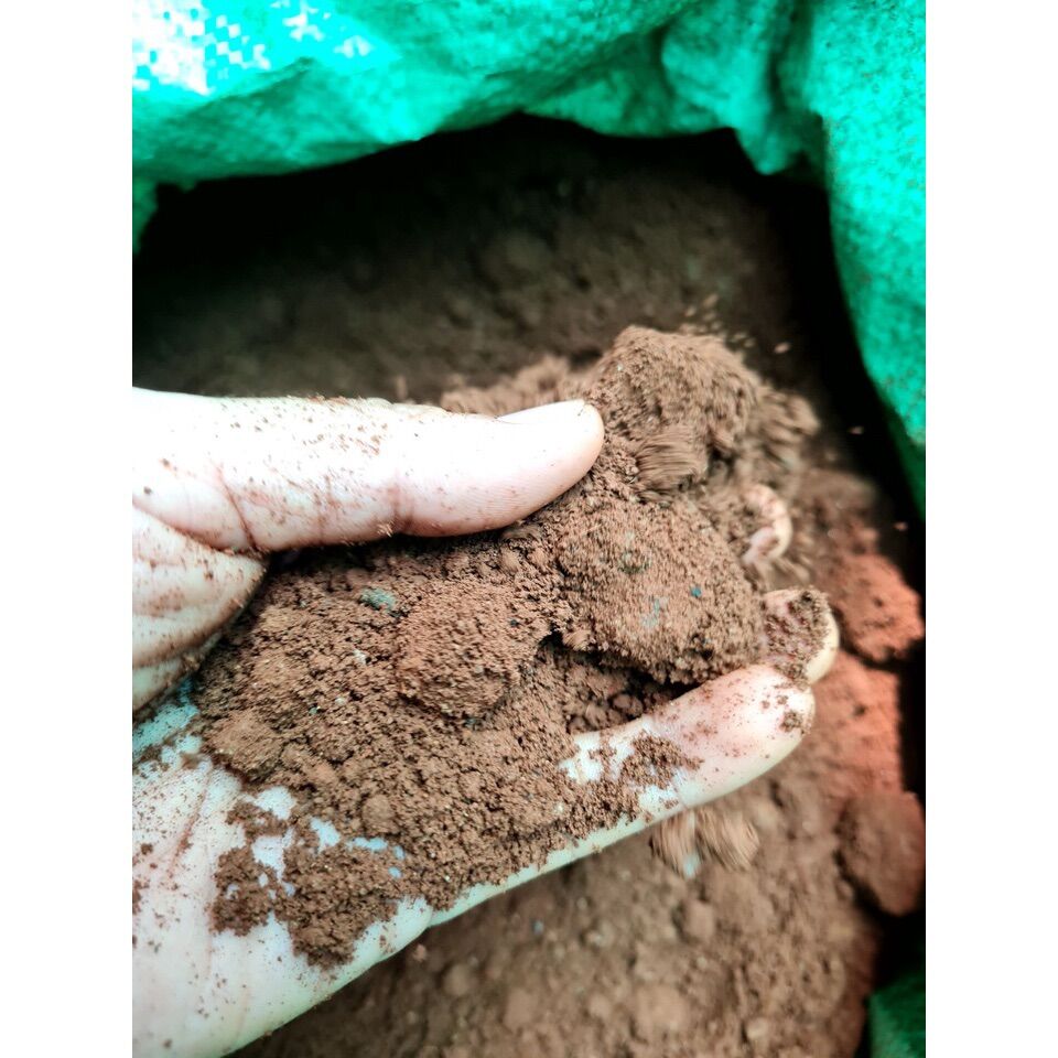 Dry Mud Specialized in Growing Mini Japanese Lotus (400g)