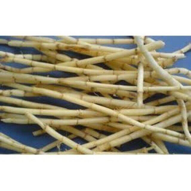 Rễ Cỏ Tranh Khô Nấu Nước Sâm