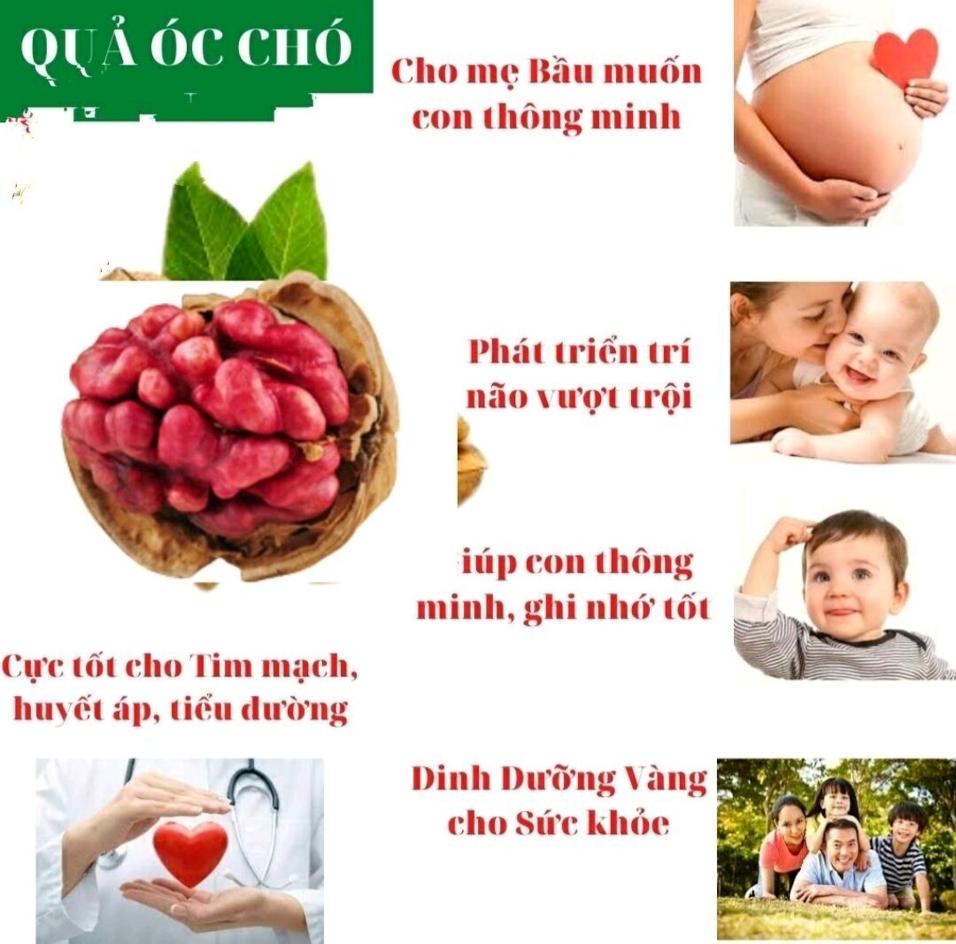 Nhân Hạt Óc Chó Đỏ Đã Tách Vỏ Hũ 500gr