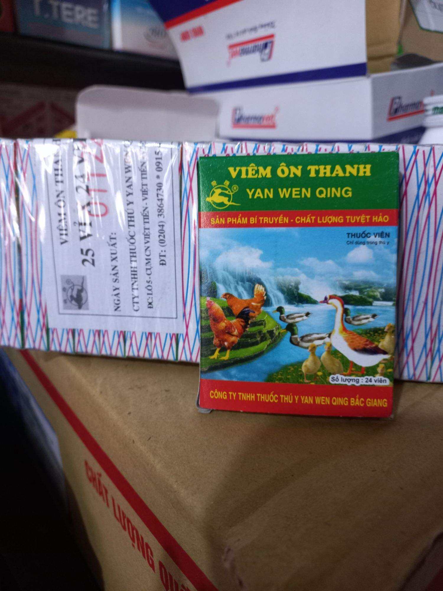 Viêm ôn thanh vỉ 24 viên