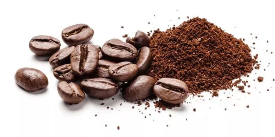 [HCM] cà phê pha phin đậm đà chồn đặc biệt 500g