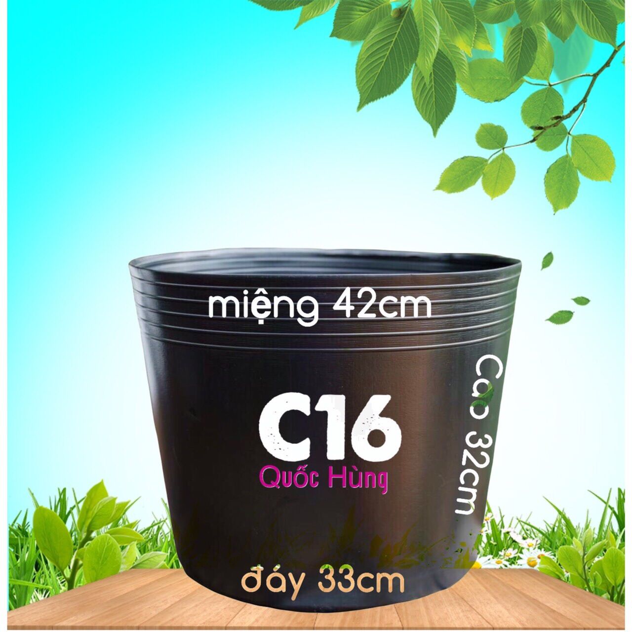 Combo 30 chậu c16