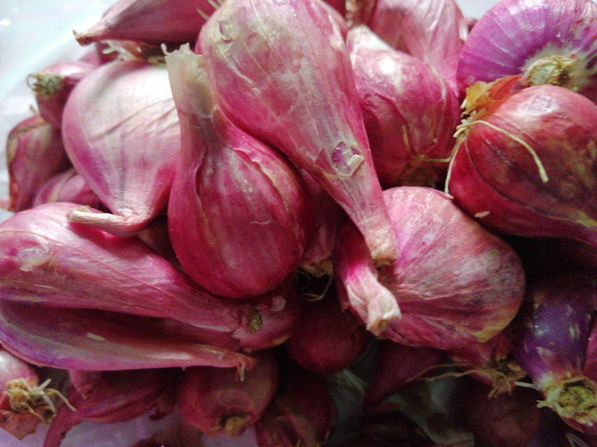 1kg hành củ tím, hành hương (đảo lý sơn  loại 1 củ to)
