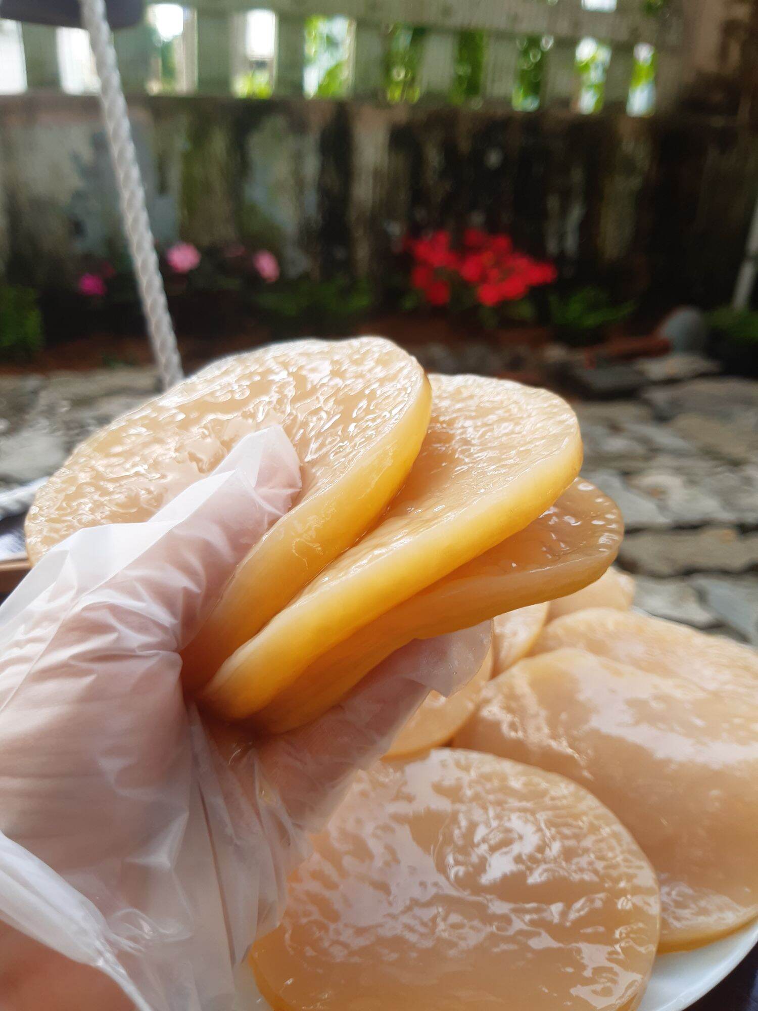 Trà Jun Kombucha (Champagne của Kombucha)