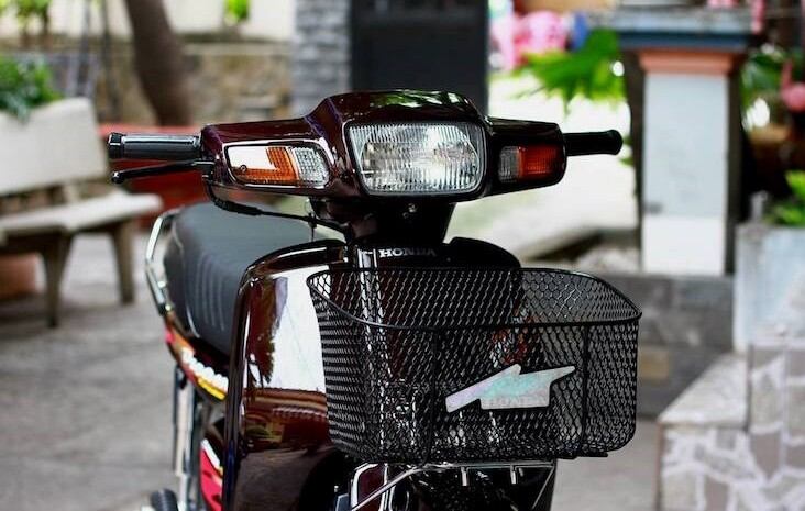 Dream Dun Saddle Type 1