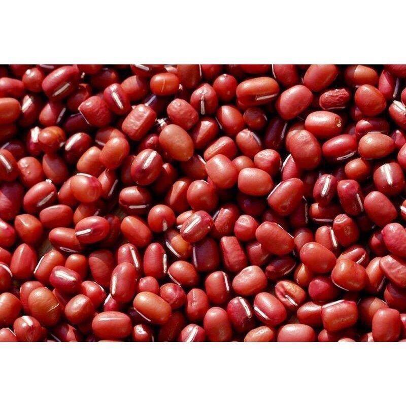 500Gr Đậu Đỏ Hạt Nhỏ Thuần Chủng Đắc Lắc