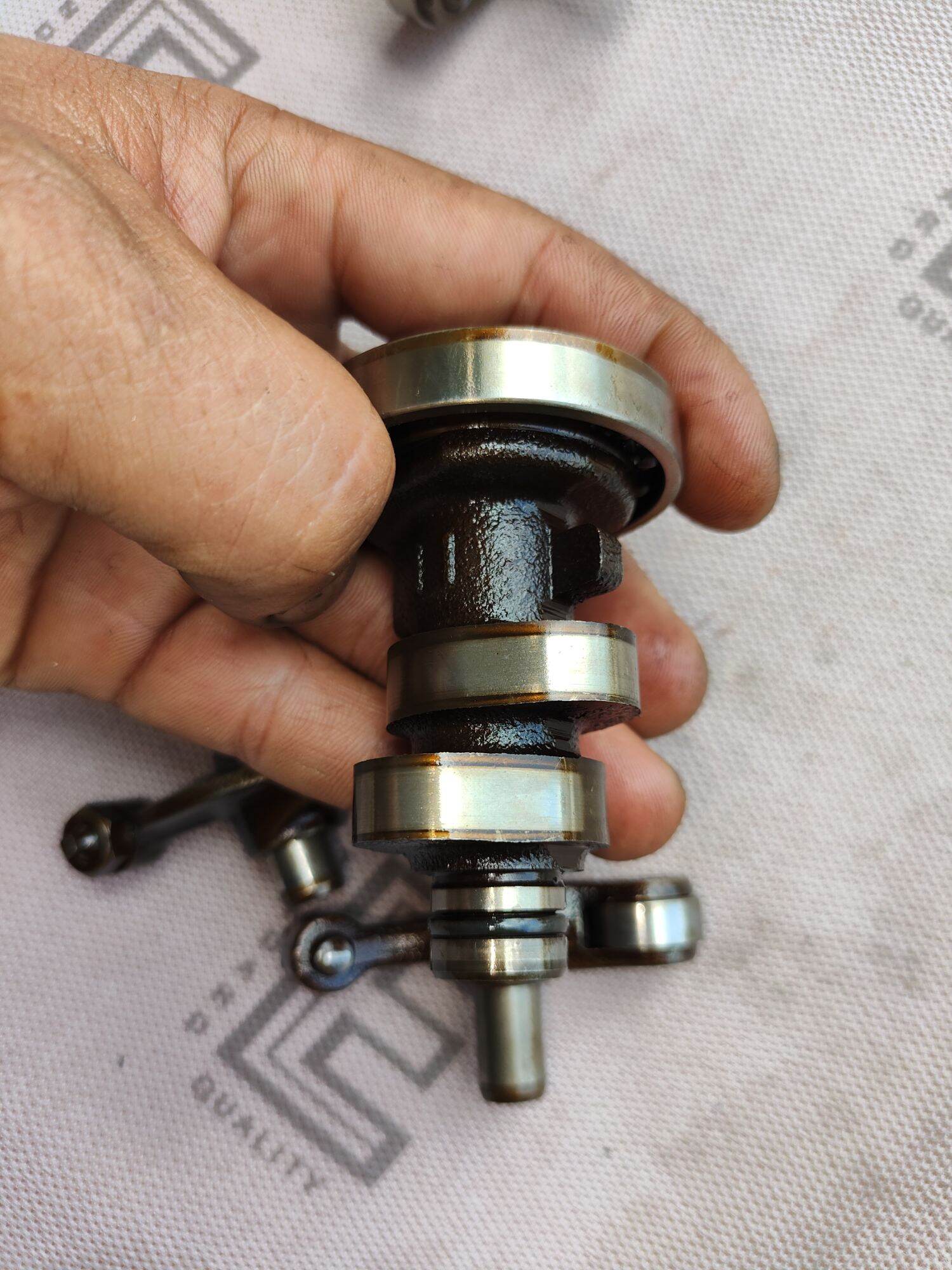 cam cò novo LX