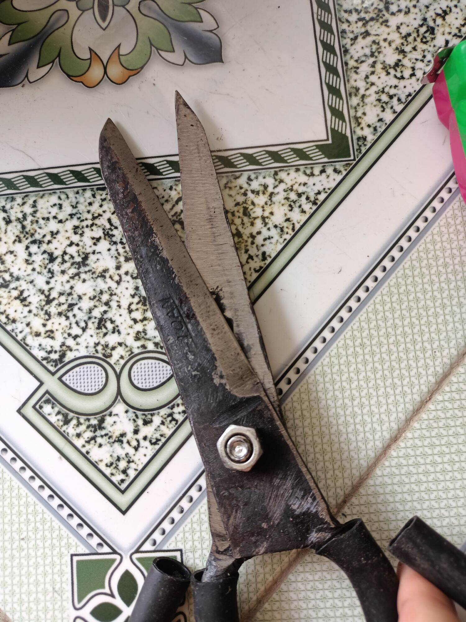 Super Sharp Fish-Cutting Scissors