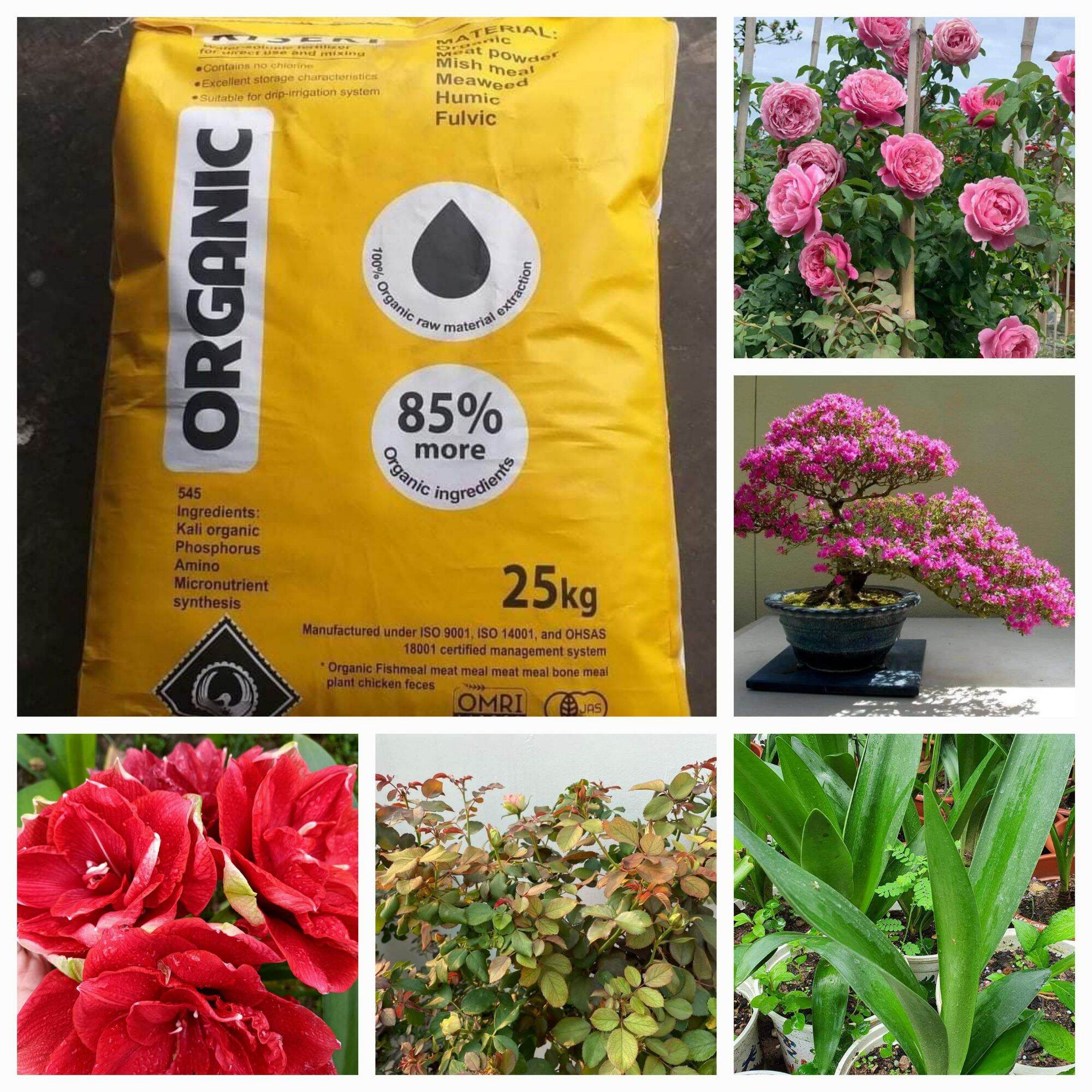 Mùn Hữu Cơ peat moss Cao cấp thêm 10%Đá perlite