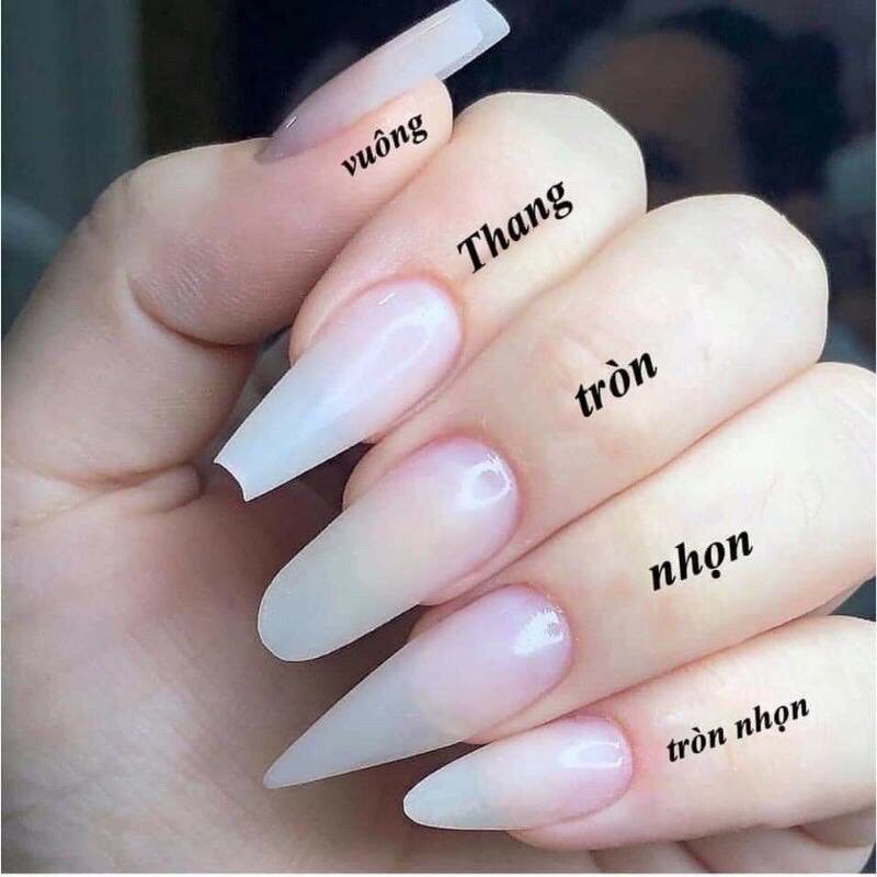 NailBox thiết kế - Móng up đặt tiệm làm - chuẩn form chuẩn size