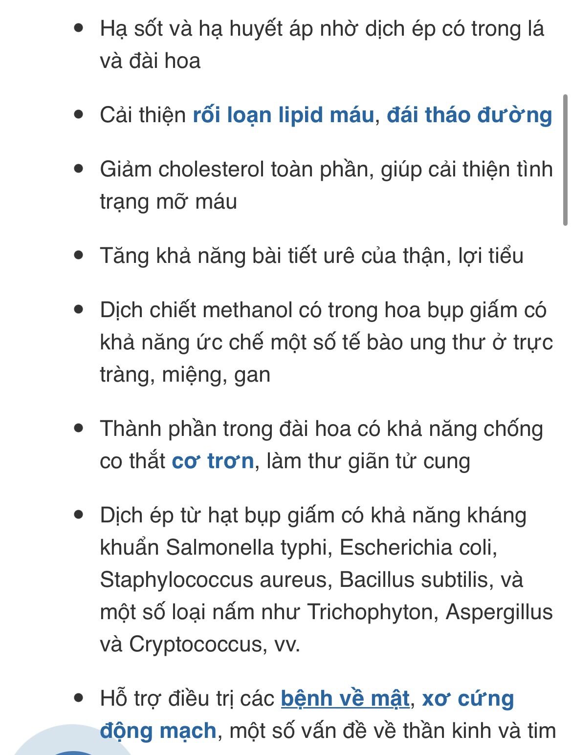 Cây bụp chua( hạt giống tự nhiên)