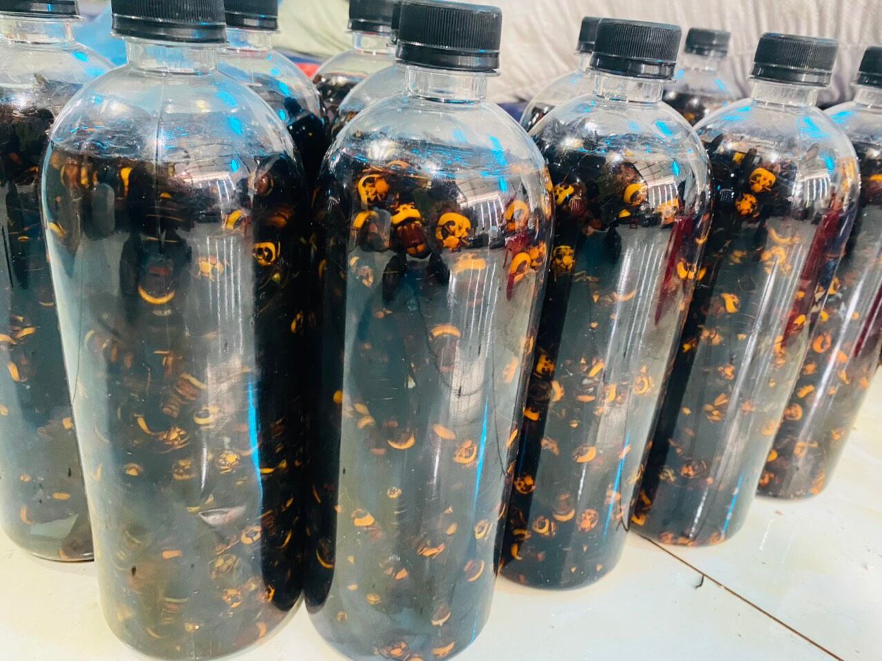 Ong đất ngâm ru.ou chai 1Lít hoặc chưa ngâm