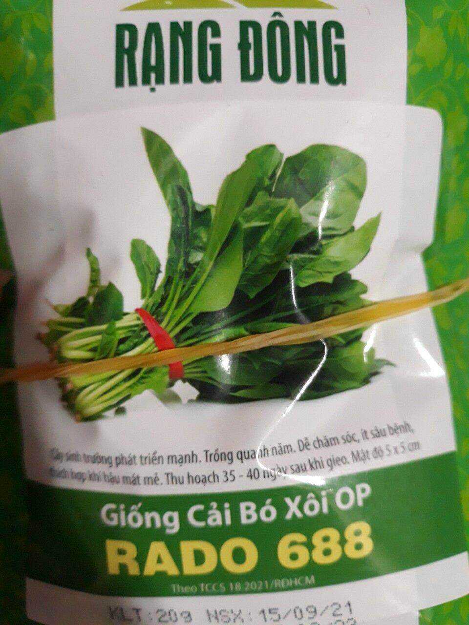 Hạt giống cải bó xôi