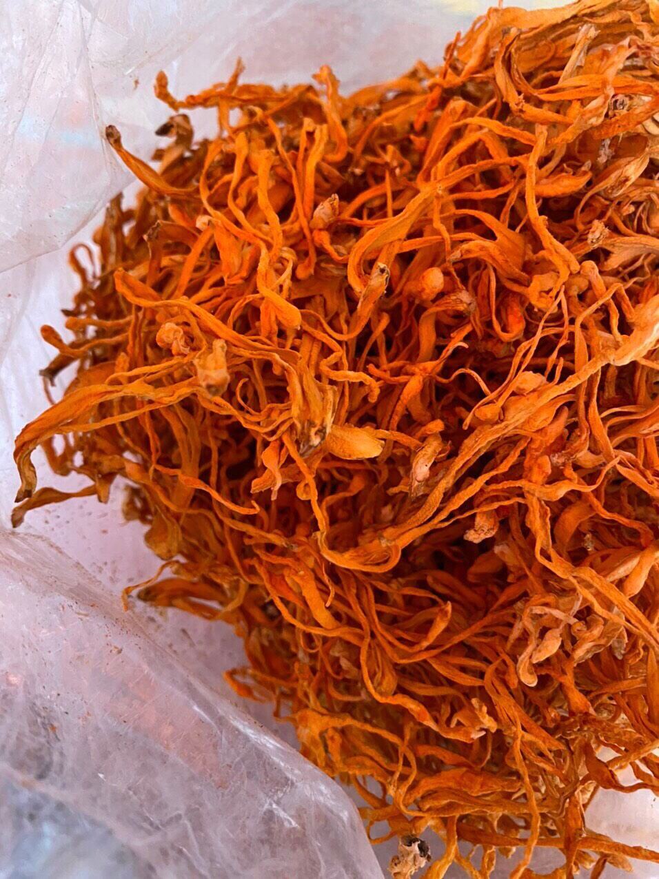 250g nấm đông trùng hạ thảo