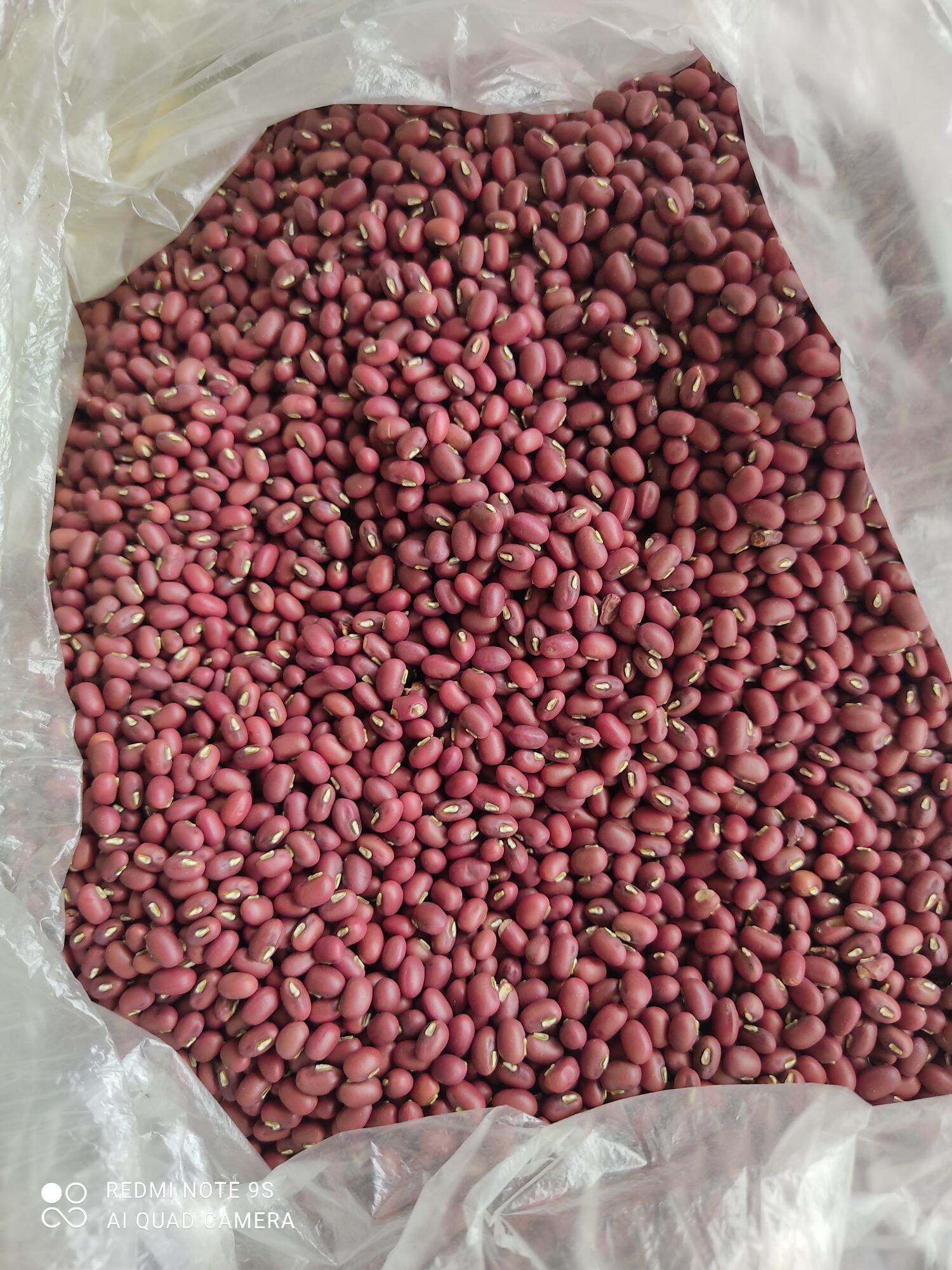 Đậu đỏ hạt nhỏ/ đâu quê sạch 1kg