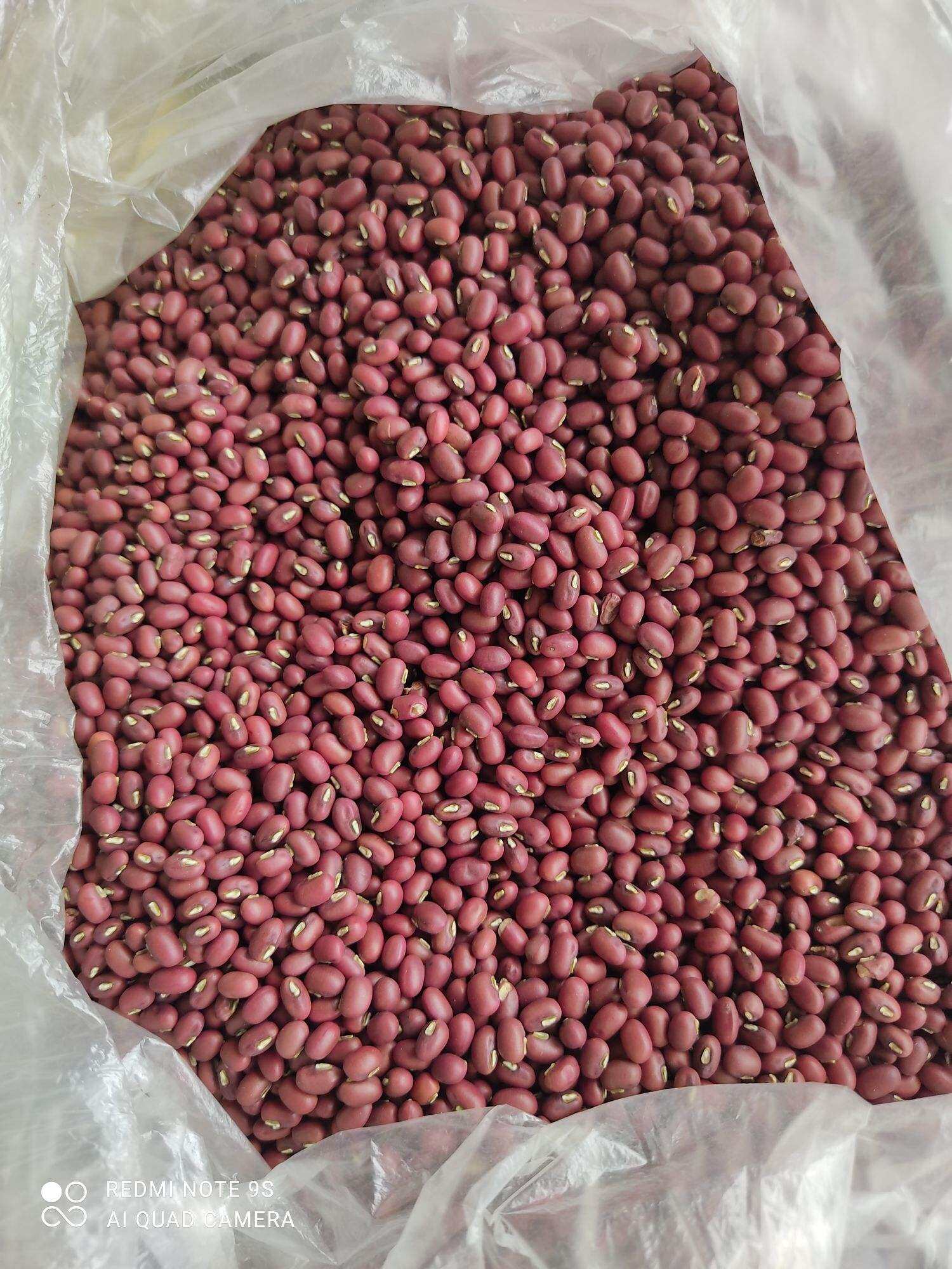 đậu đỏ hạt nhỏ/ đâu quê sạch 1kg