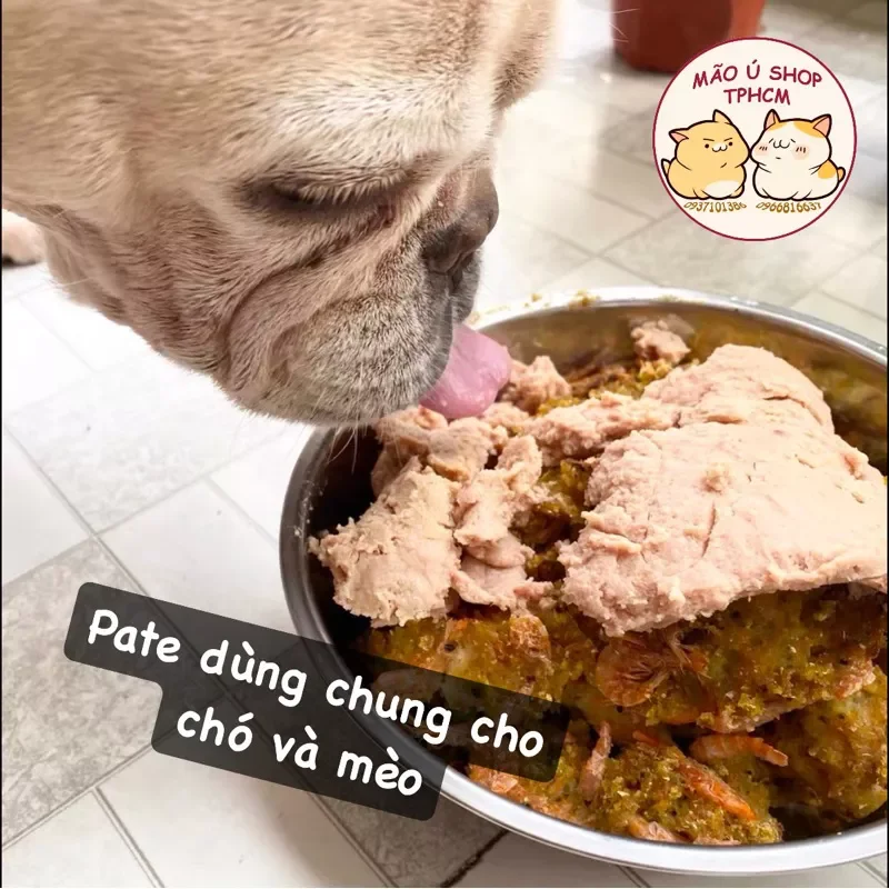 [COMBO 5-20 GÓI 100g] PATE HUNDRED - PATE NỘI ĐỊA TRUNG CHO CẢ CHÓ VÀ MÈO