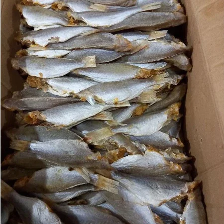1KG cá đù khô ngon, vị vừa ăn