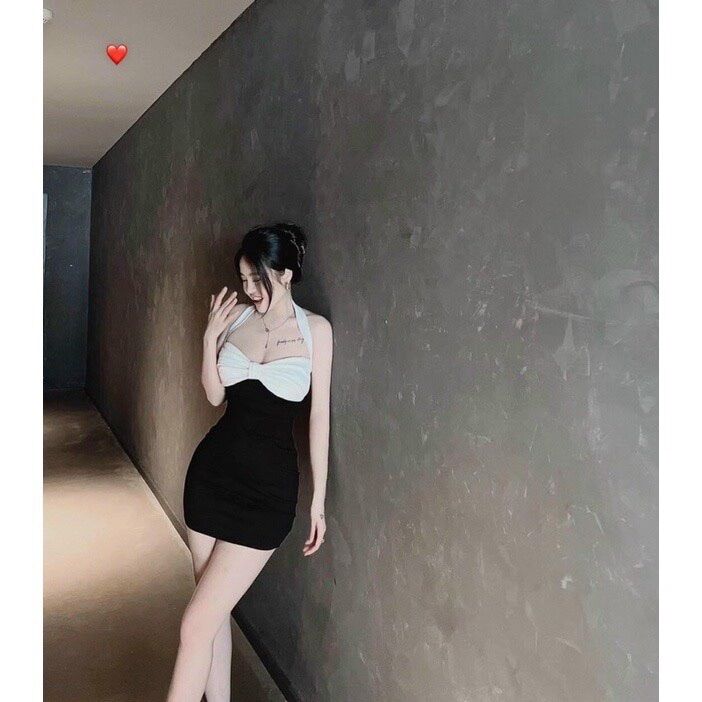 ĐẦM KIỂU PHỐI MÀU TRÒNG CỔ DU2