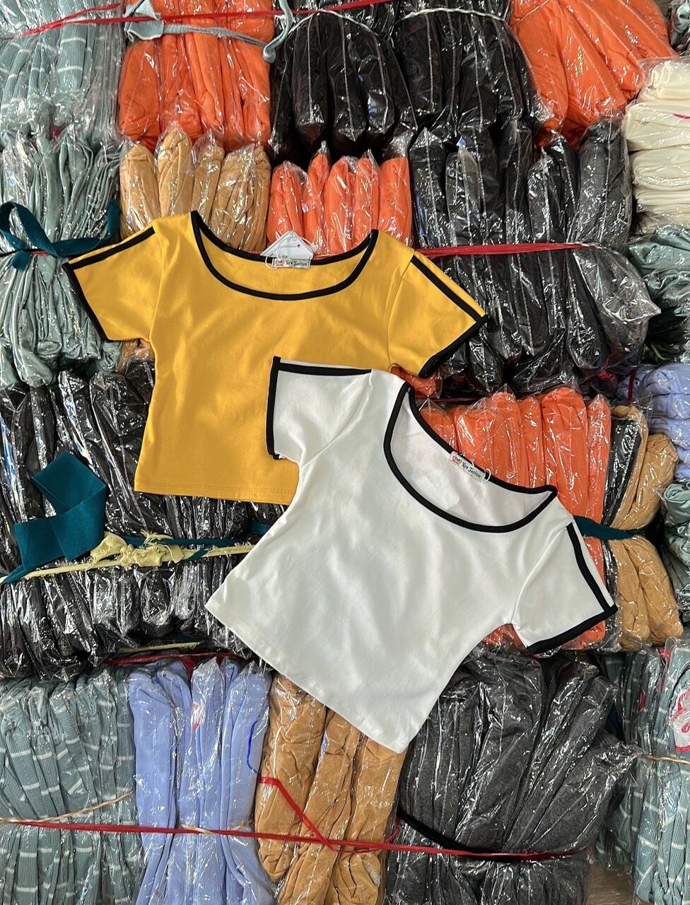 áo croptop viền cổ form 45kg(v1)