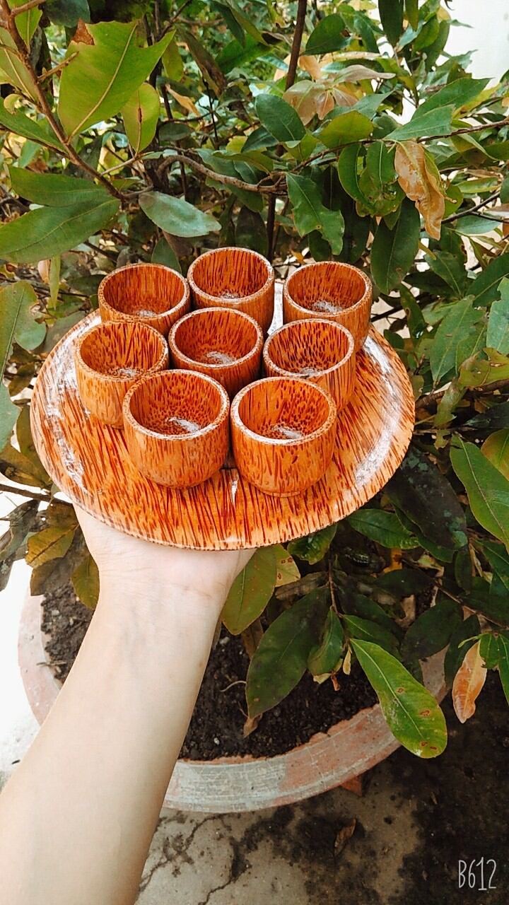 Bộ ly cao cấp làm từ gỗ dừa 6 ly và 1 đĩa