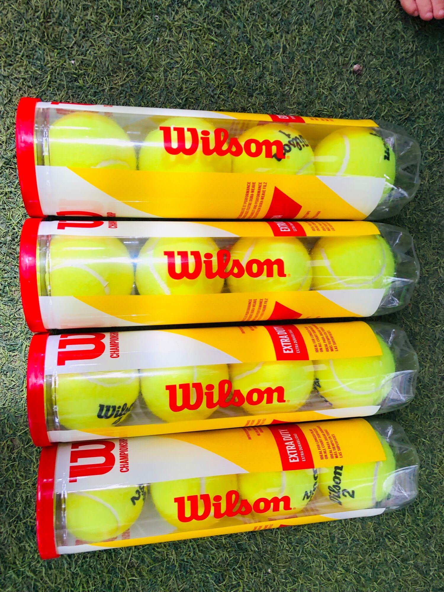Banh tennis Wilson đỏ