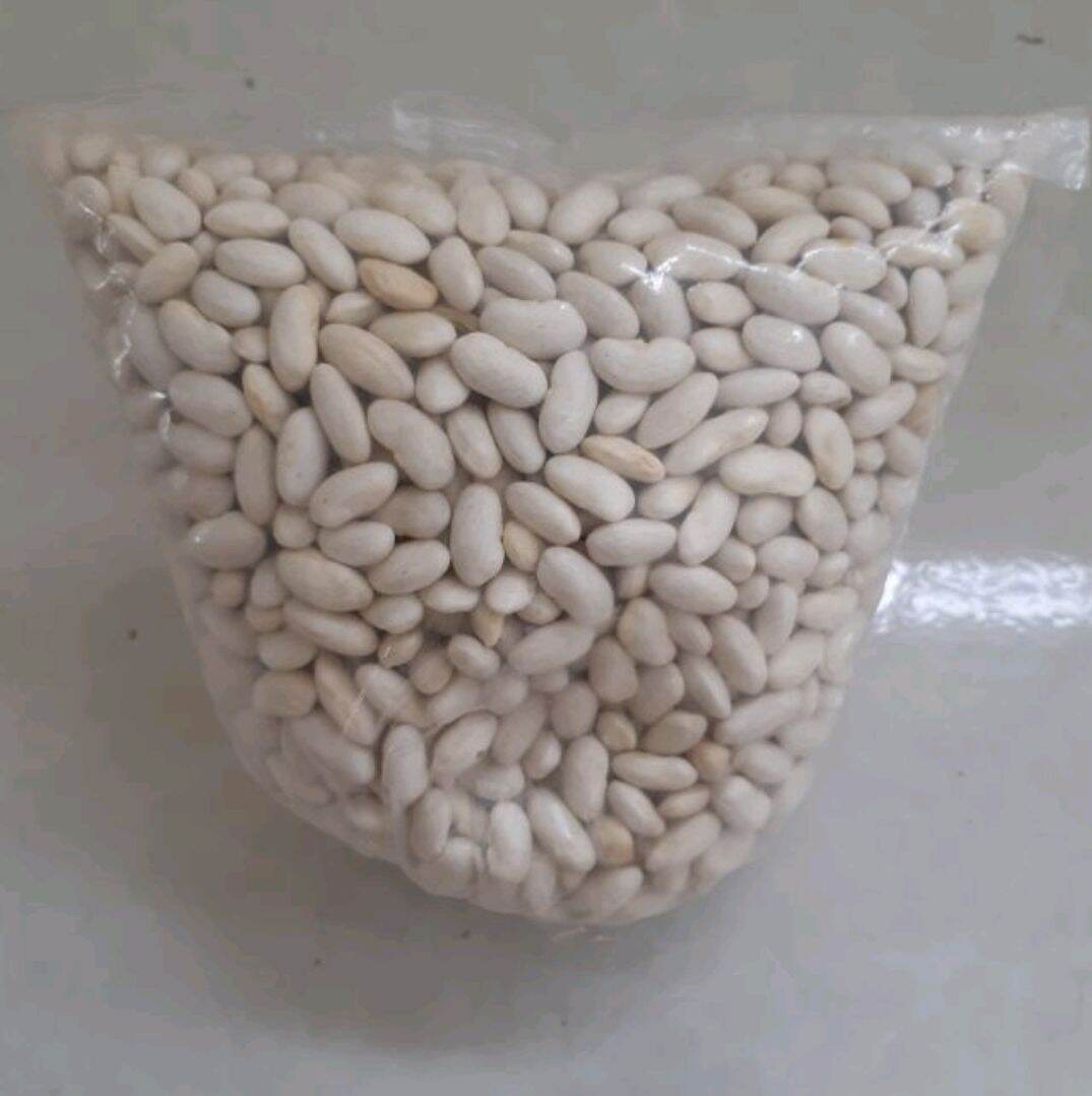Đậu trắng hạt dài