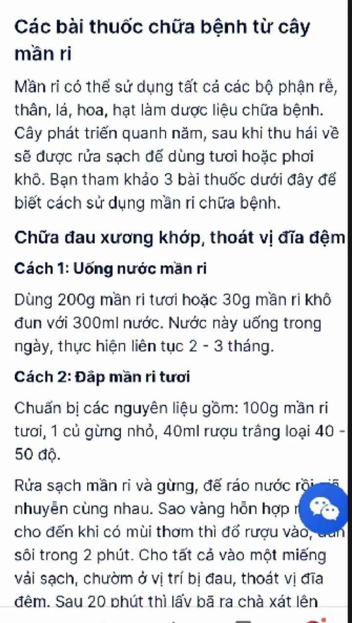 Cây mầm ri khô 1kg