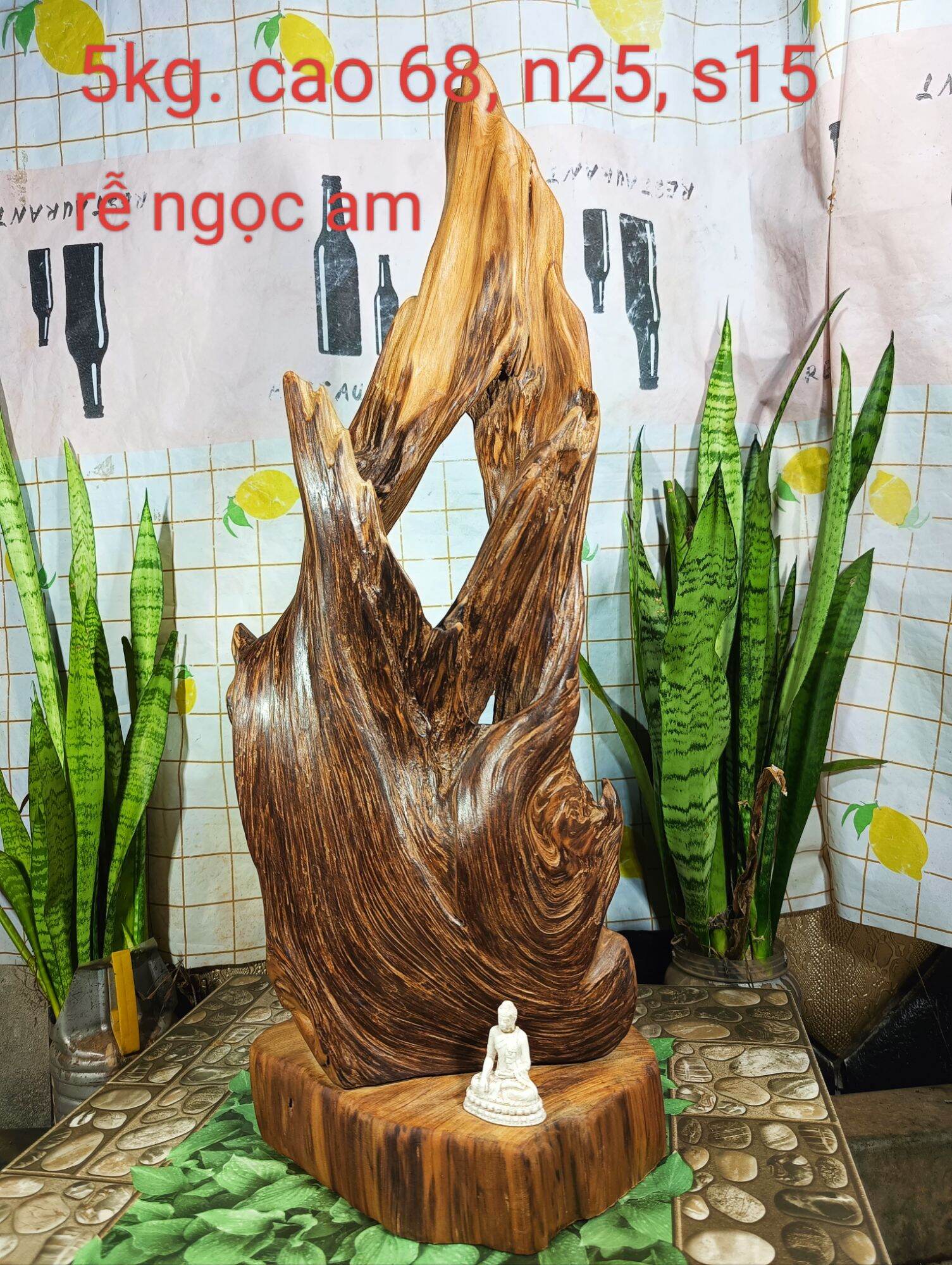 Lũa ngọc am đỏ hà giang, chơi được nhiều thế