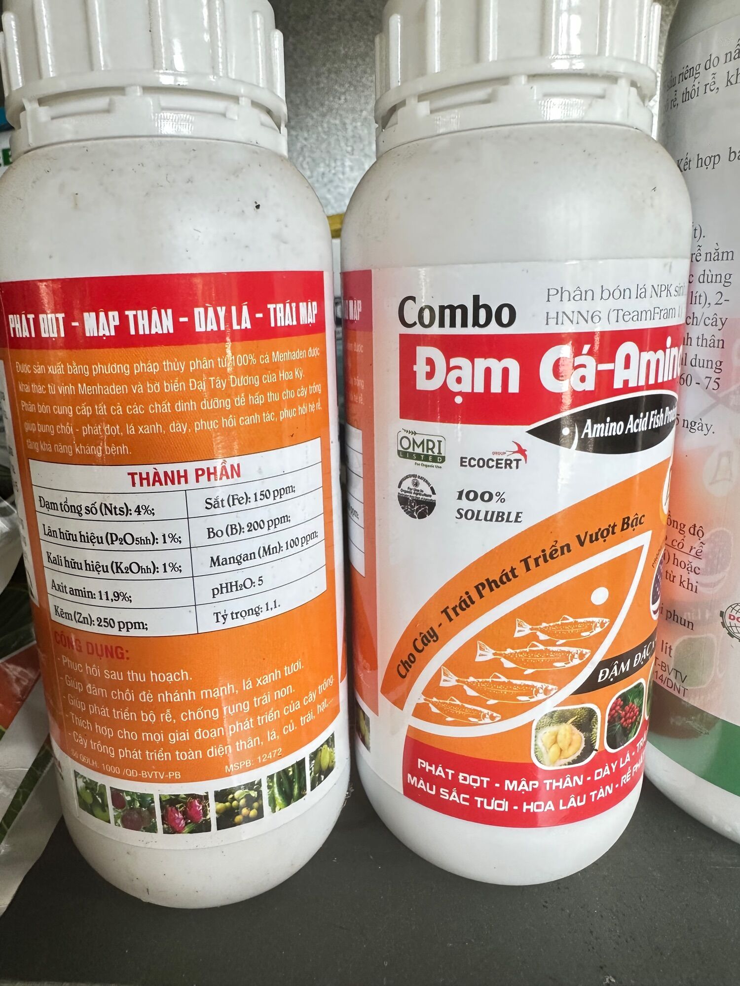Đạm Cá Amino PHÁT ĐỌT MẬP THÂN DÀY LÁ đậm đặc gấp 4 lần