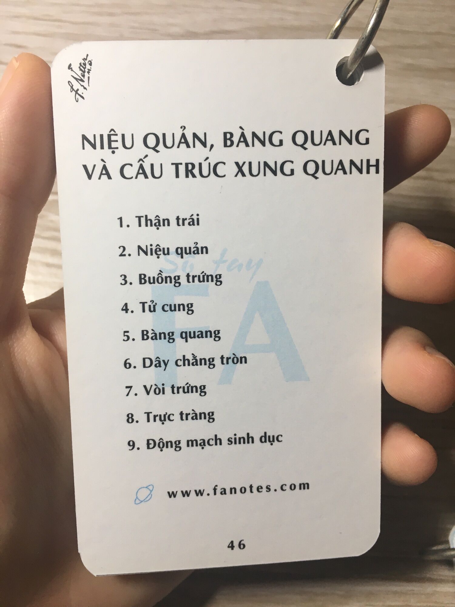 Combo sổ tay FA//Combo flashcardanatomy tiếng Việt
