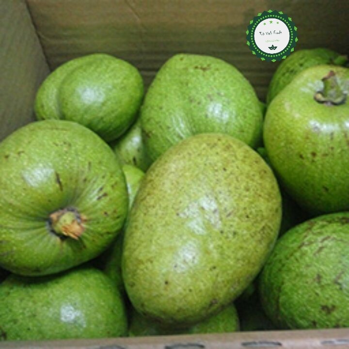 Trái bình bát tươi xanh, combo 5kg