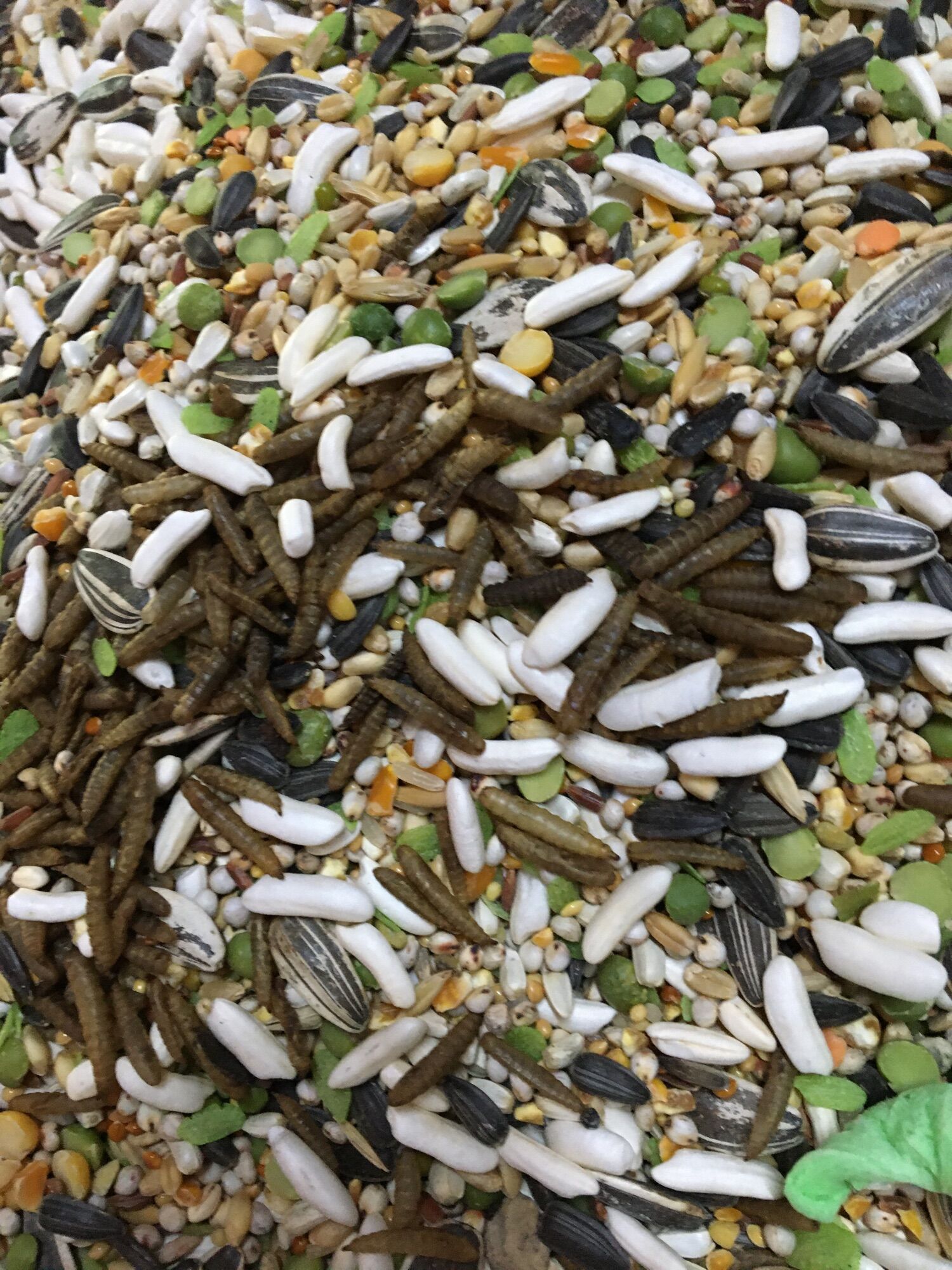 Thức ăn cơ bản hamter 1kg