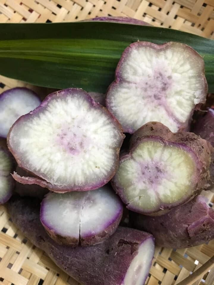 Combo 3kg Khoai lang dương ngọc