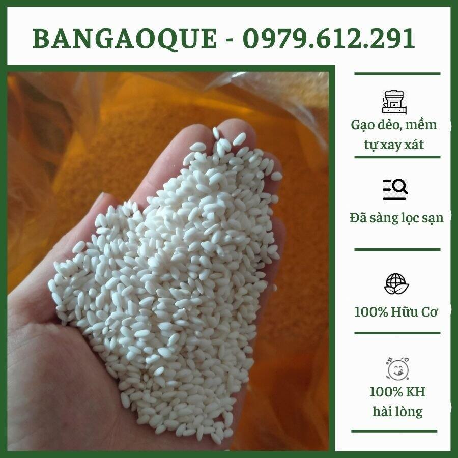 1kg gạo nếp cái hoa vàng - gạo tròn mẩy thơm 1 vụ trong năm