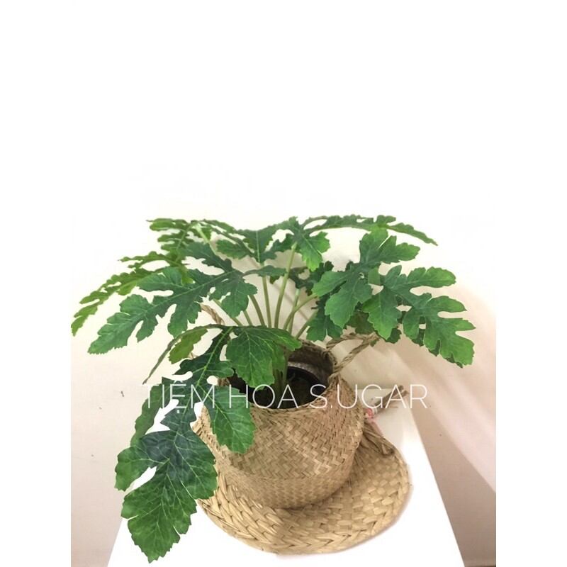 Cây cảnh giả decor cây trang trí