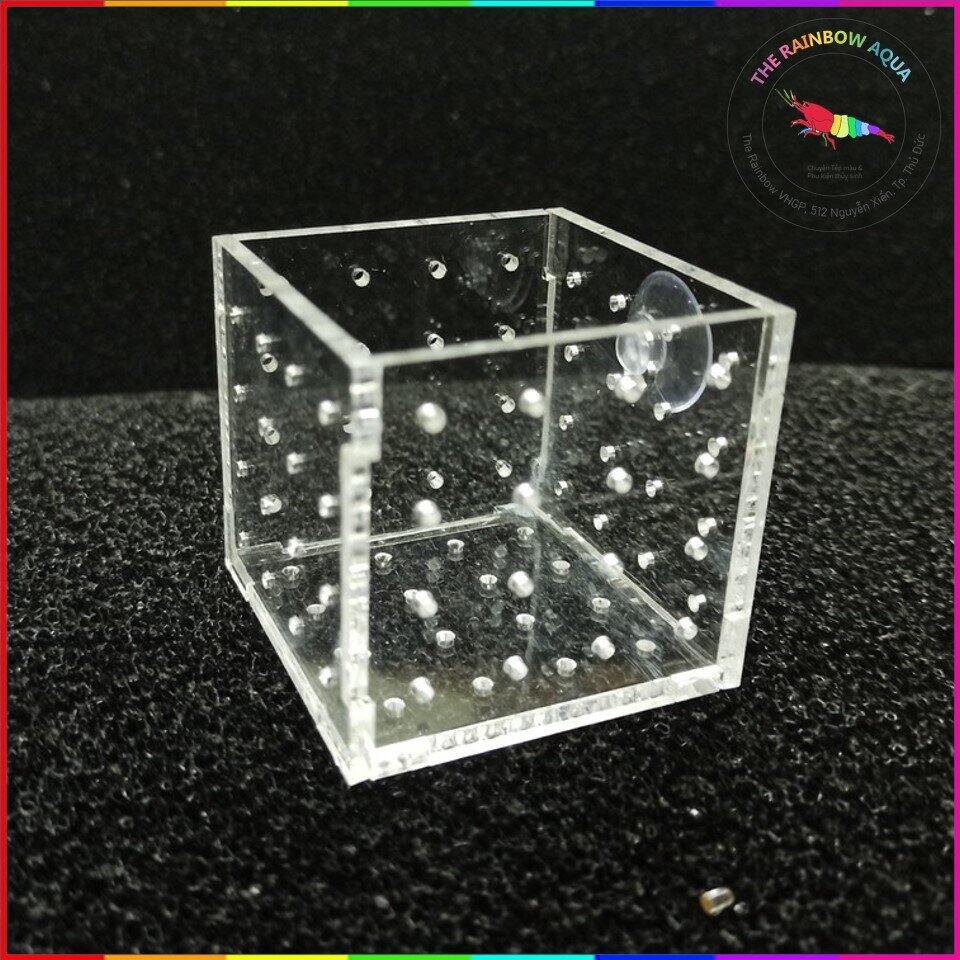 Cốc trồng cây thủy sinh, chậu mica trồng cây thủy sinh