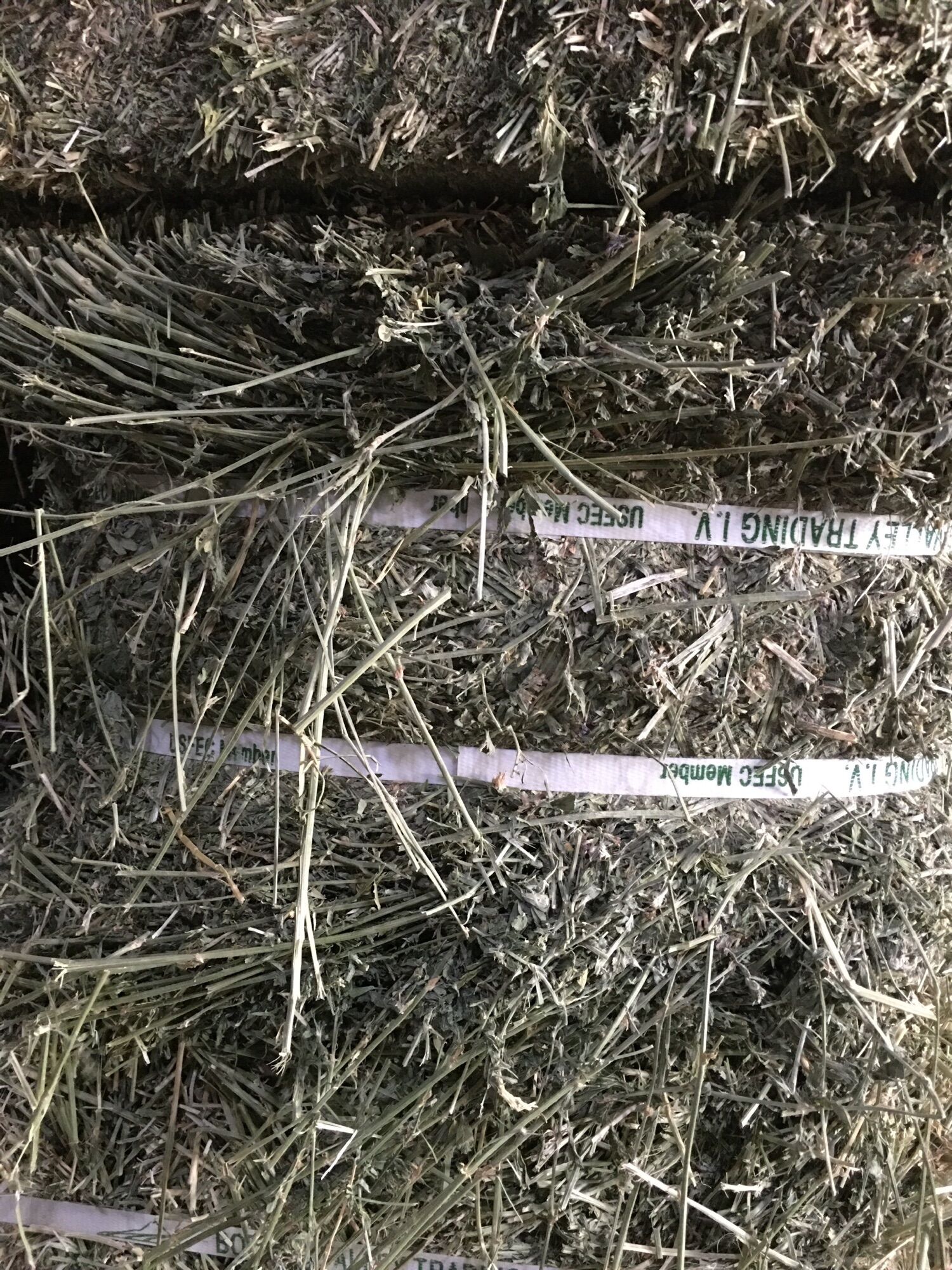 5kg cỏ alfalfa nhiều lá ( dài chưa cắt khúc )