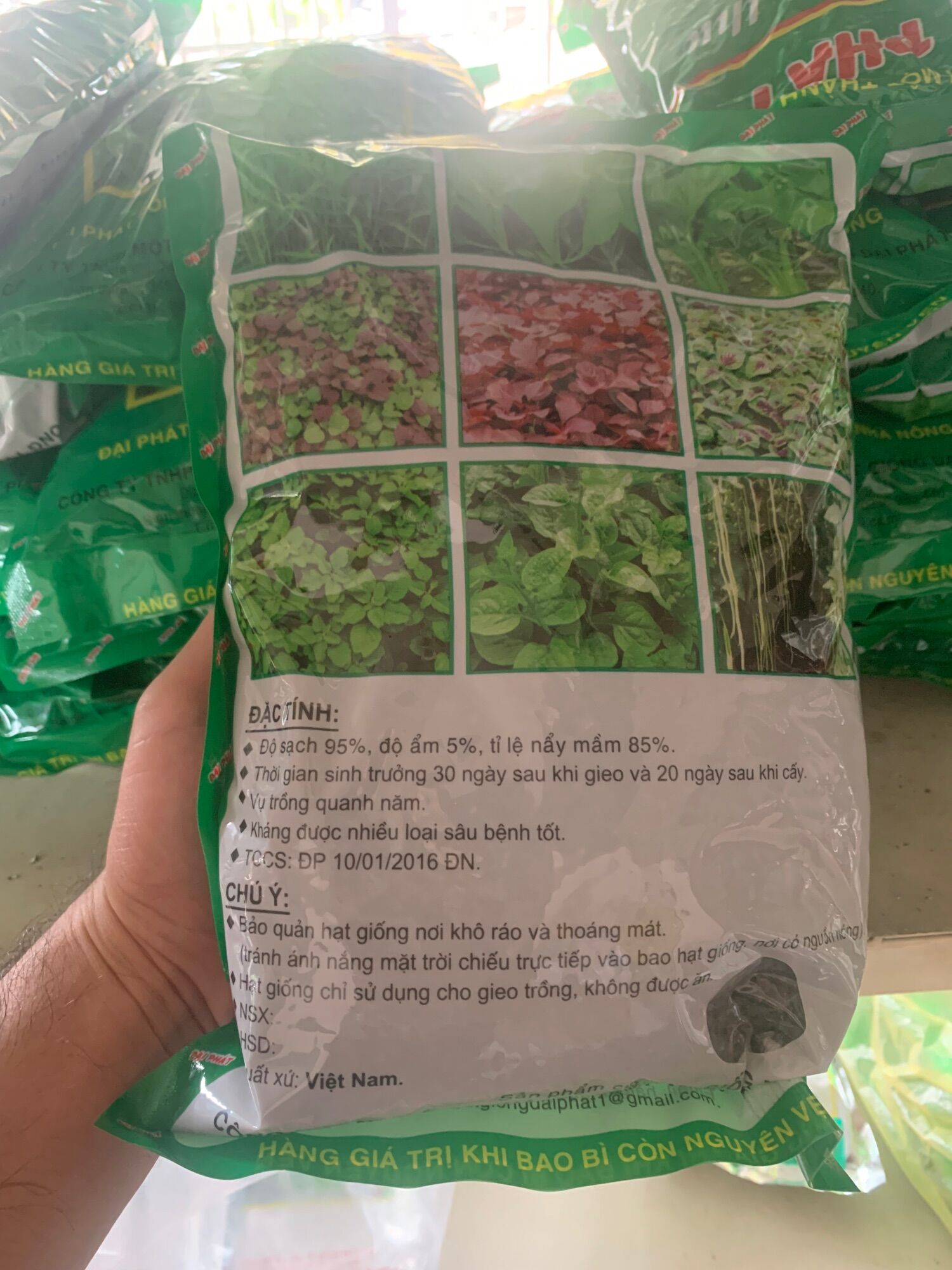 Hạt mồng tơi nhiều nhánh khoẻ cây gói 1kg
