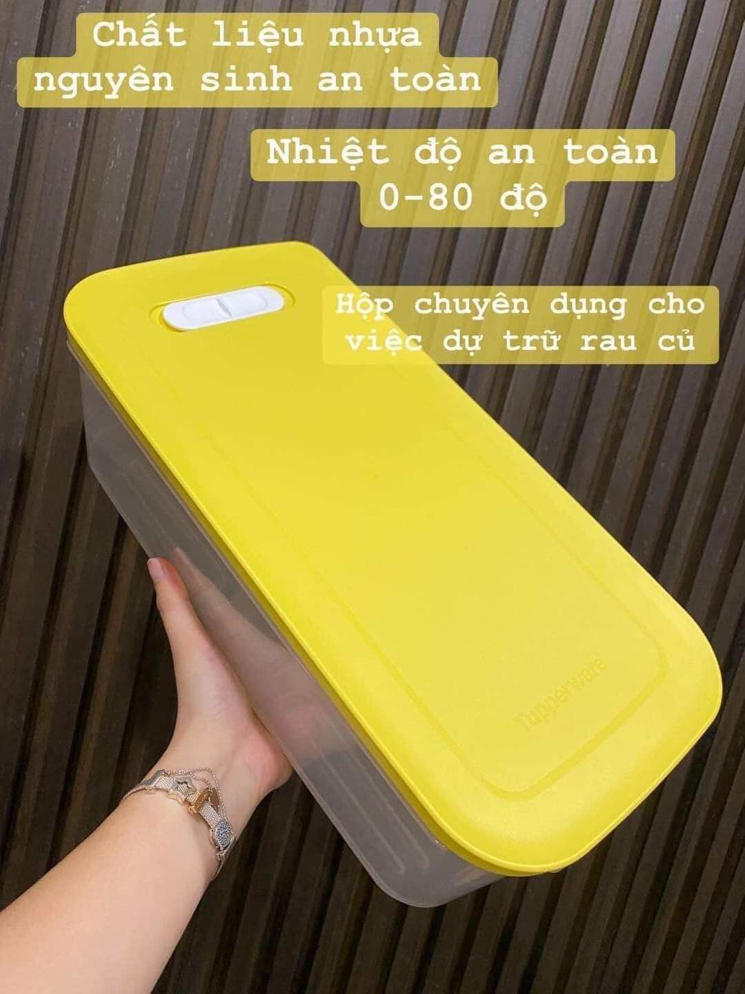 Hộp trữ mát có nút hô hấp 6.1L Ventsmart