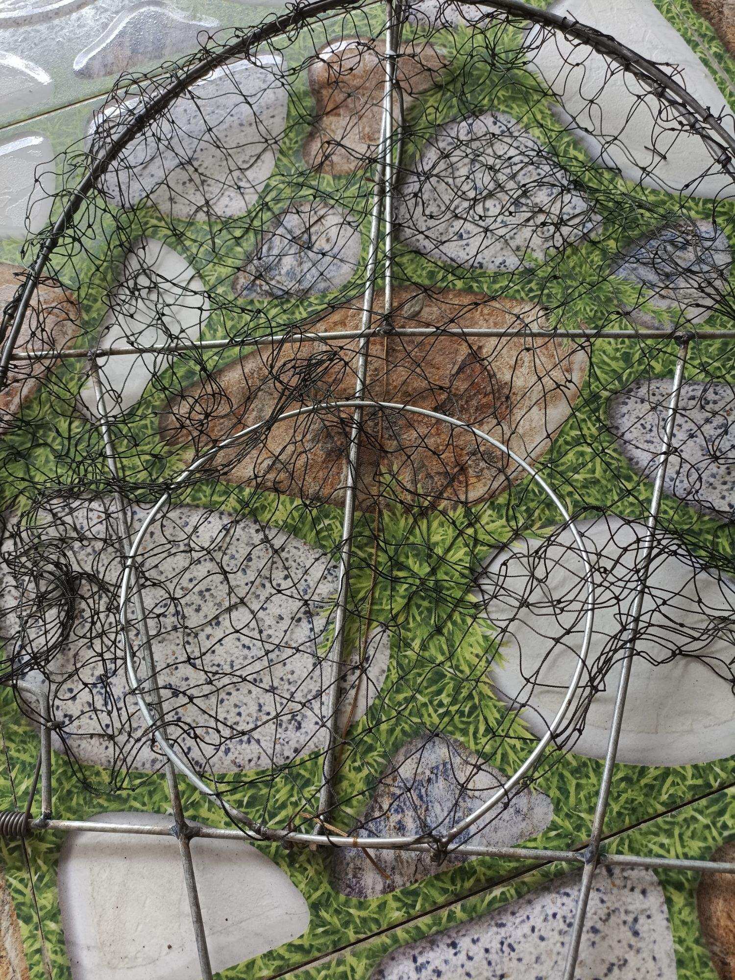 1 Mẹt nhái bẫy bìm bịp quốc