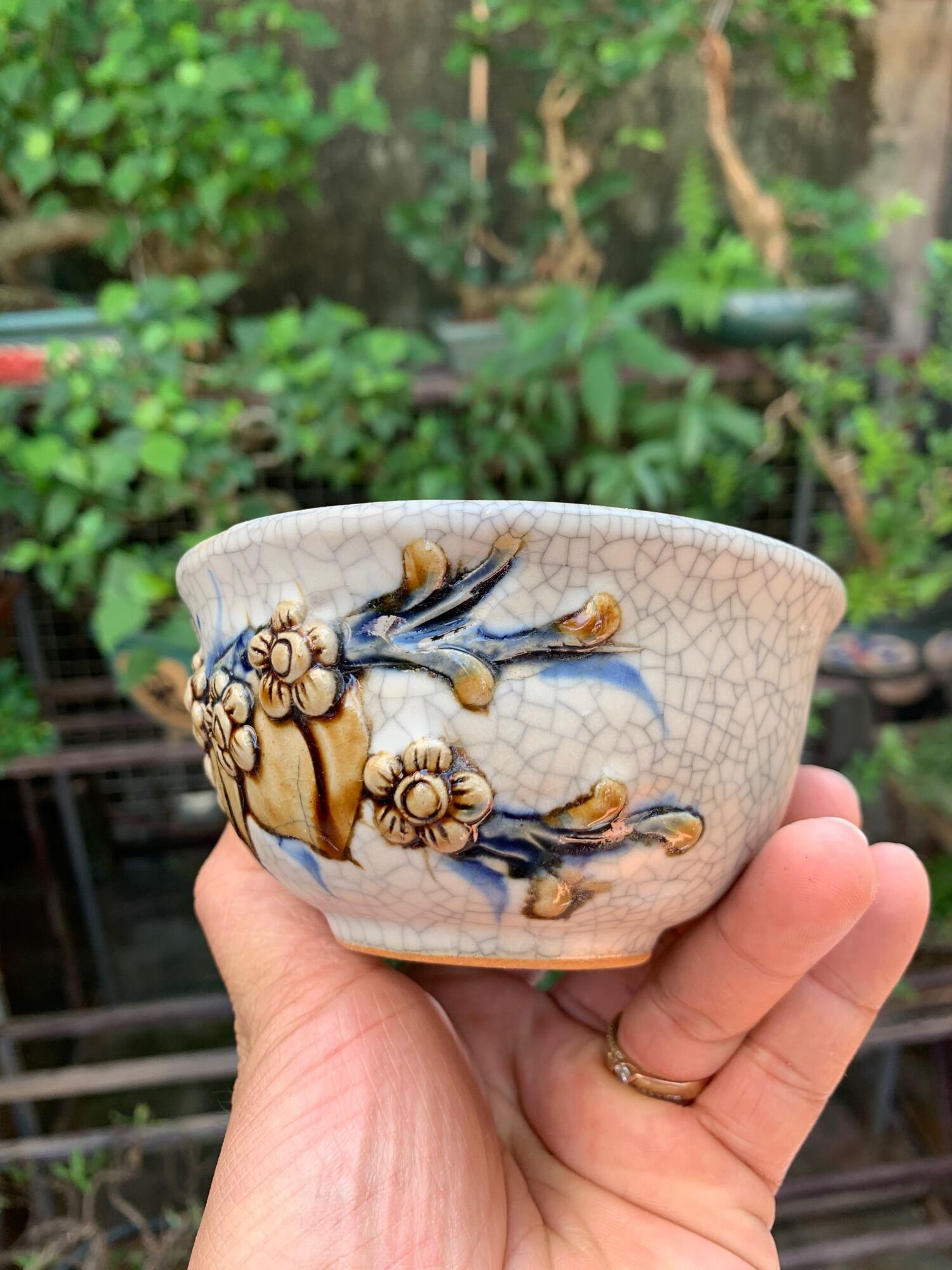 Chậu trồng cây bonsai mini