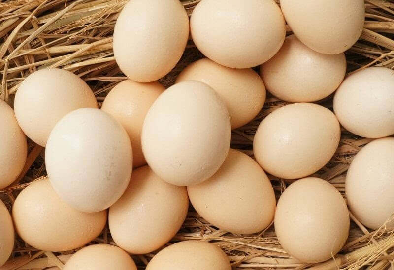 5 Trứng Gà Nòi Mỹ Rặc