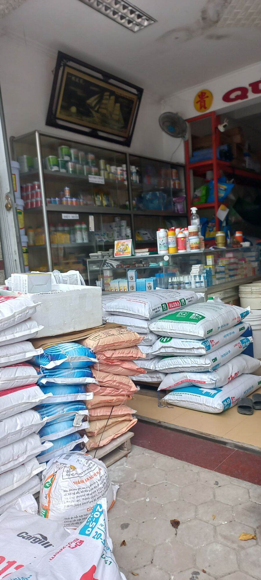 than hoạt tính viên 1kg