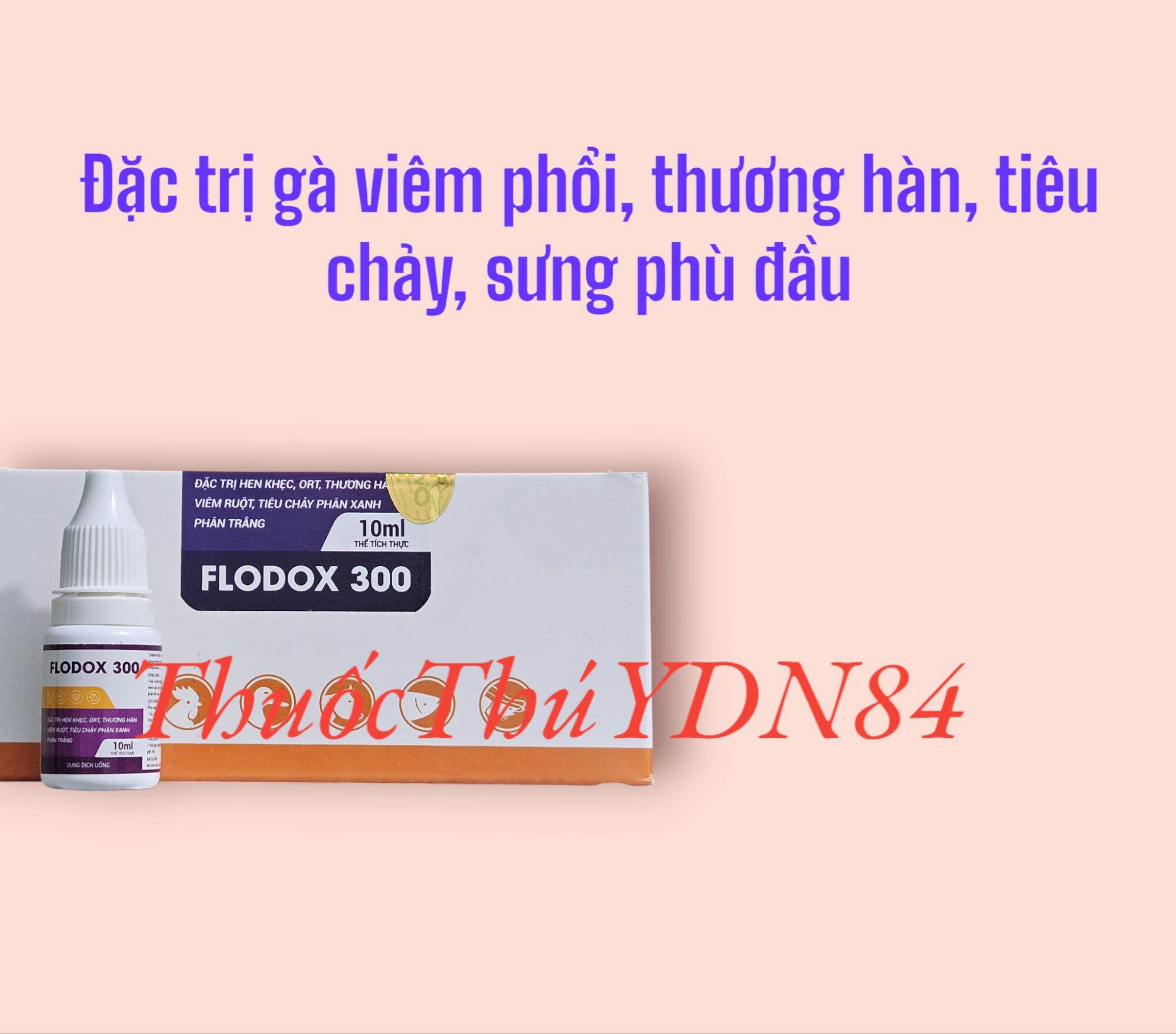 5 LỌ Flodox 300 10ml hen khẹc, thương hàn, tụ huyết trùng, crd