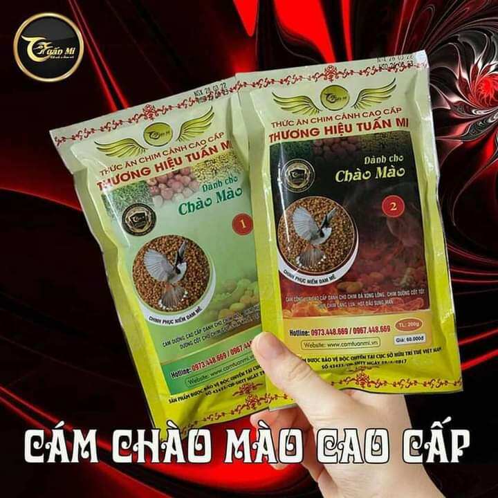 Cám Chào Mào số 2 ( Tuấn Mi )