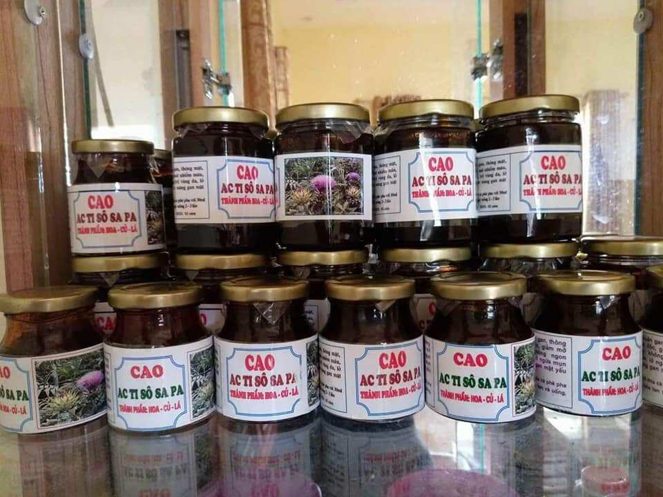 Cao Atiso Sapa